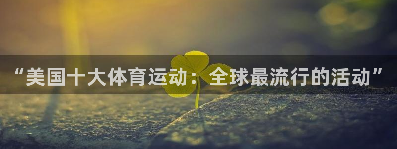 “美国十大体育运动：全球最流行的活动”