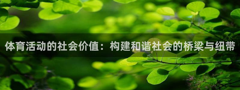 体育活动的社会价值：构建和谐社会的桥梁与纽带