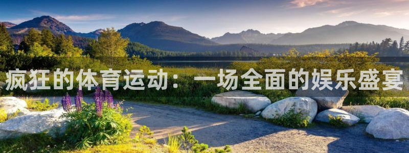 疯狂的体育运动：一场全面的娱乐盛宴
