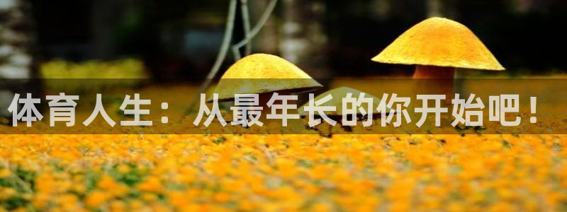 体育人生：从最年长的你开始吧！