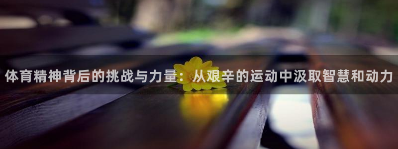体育精神背后的挑战与力量：从艰辛的运动中汲取智慧和动力