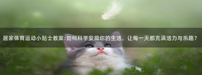 居家体育运动小贴士教案:如何科学安排你的生活，让每一天都充满活力与乐趣？