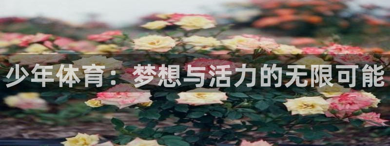 少年体育：梦想与活力的无限可能