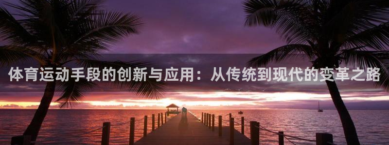 体育运动手段的创新与应用：从传统到现代的变革之路