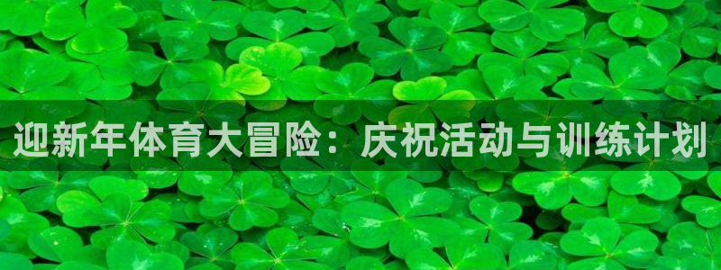 迎新年体育大冒险：庆祝活动与训练计划