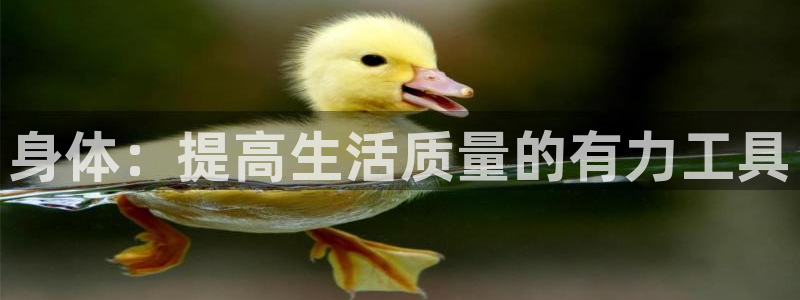 身体：提高生活质量的有力工具