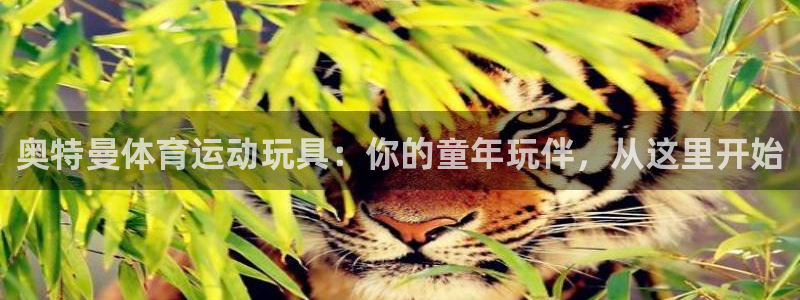 奥特曼体育运动玩具：你的童年玩伴，从这里开始